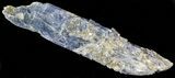 Vibrant Blue Kyanite Crystal - Brazil #56938-1